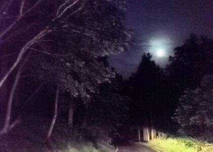 朧月の夜は…一人歩こう