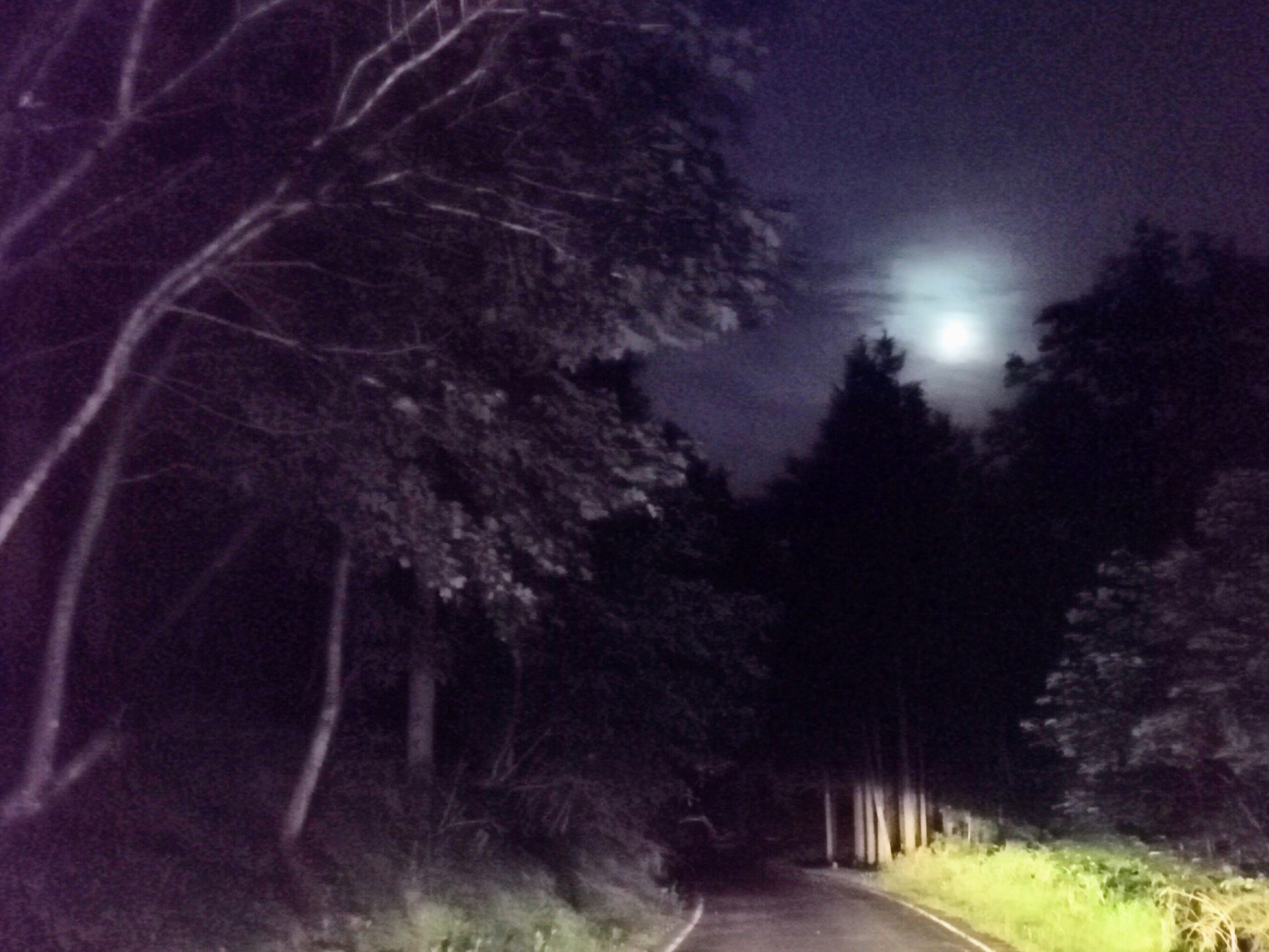 朧月の夜は…一人歩こう